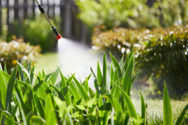 24/7 Emergency Termite Control experts in Gateway, FL